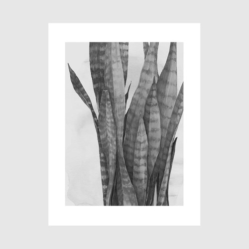 svärmorstunga 30x40_ klar_ webb.jpg