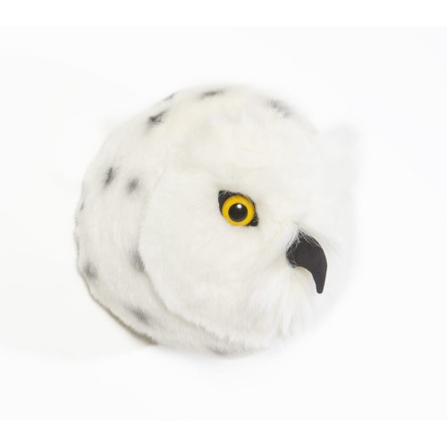 WS-0013-Snow-owl-Chloe-L.jpg